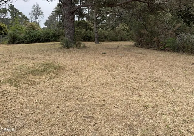 Homes for sale in Fort Bragg, CA | 0 Pine Dr, Fort Bragg, CA 95437 | MLS# C1-11402