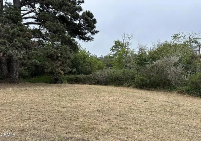 Homes for sale in Fort Bragg, CA | 0 Pine Dr, Fort Bragg, CA 95437 | MLS# C1-11402