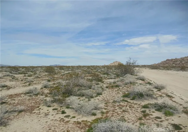 Photo 3 of Land for sale at 34100 Mercury, Lucerne Valley, CA 92356 | MLS# OC26111821 | Listing updated on 2026-05-22