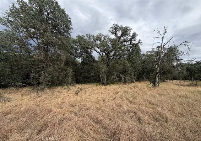 29th image of 0 Ophir Rd, Oroville, CA 95966 | MLS# OR26111892