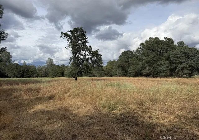 Photo 3 of Land for sale at 0 Ophir Rd, Oroville, CA 95966 | MLS# OR26111892 | Listing updated on 2026-05-28