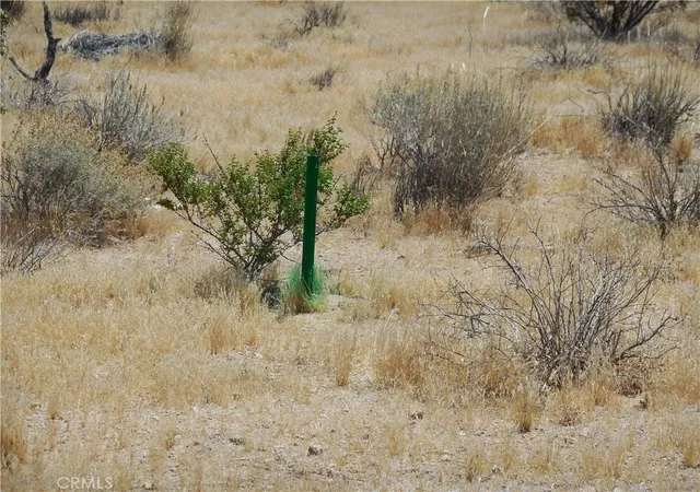 Photo 3 of Land for sale at 22000 Cattleman, Lucerne Valley, CA 92356 | MLS# OC26111977 | Listing updated on 2026-05-22