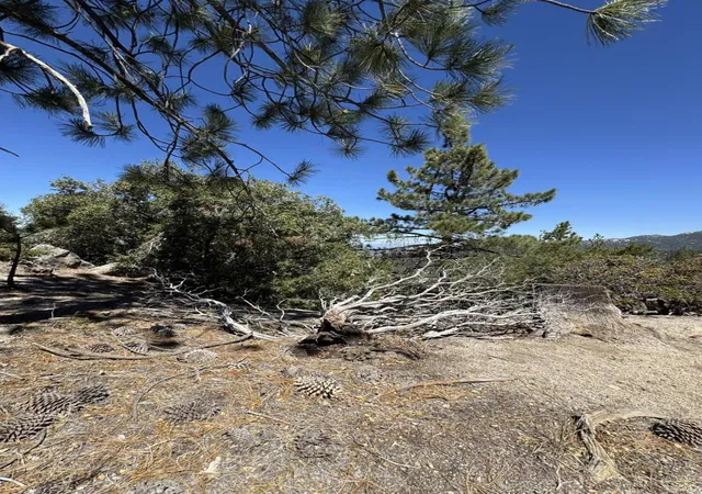 60th image of 22541 Hwy 243, Idyllwild, CA 92549 | MLS# 219148265DA