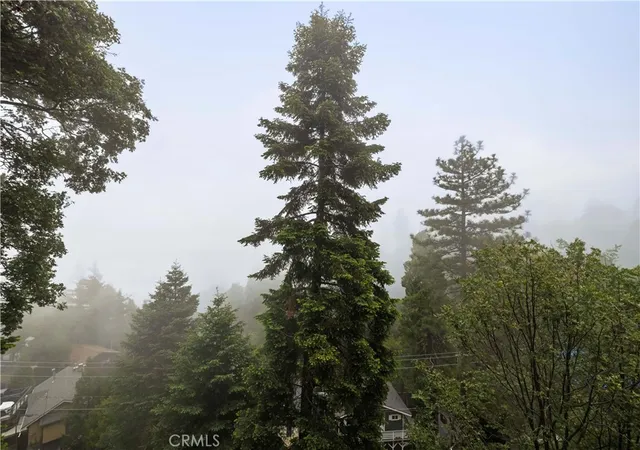 59th image of 24682 Lake Gregory Dr, Crestline, CA 92325 | MLS# SR26111627