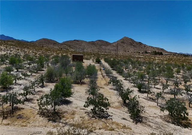 Homes for sale in Lucerne Valley, CA | 735 Midway Ave, Lucerne Valley, CA 92356 | MLS# HD26112305