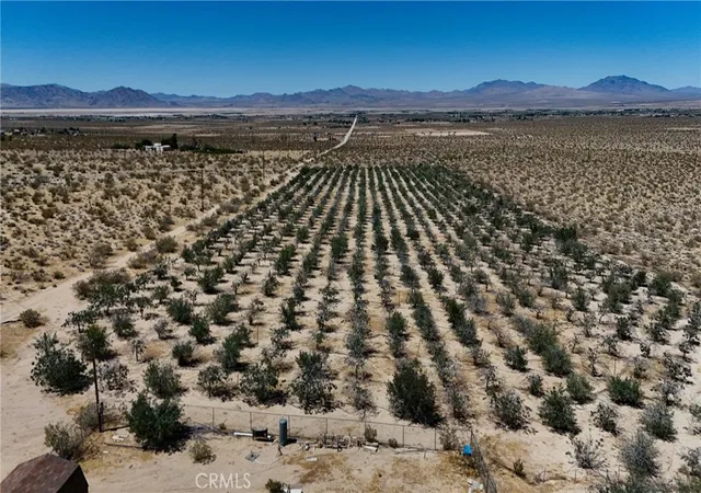 Homes for sale in Lucerne Valley, CA | 735 Midway Ave, Lucerne Valley, CA 92356 | MLS# HD26112305