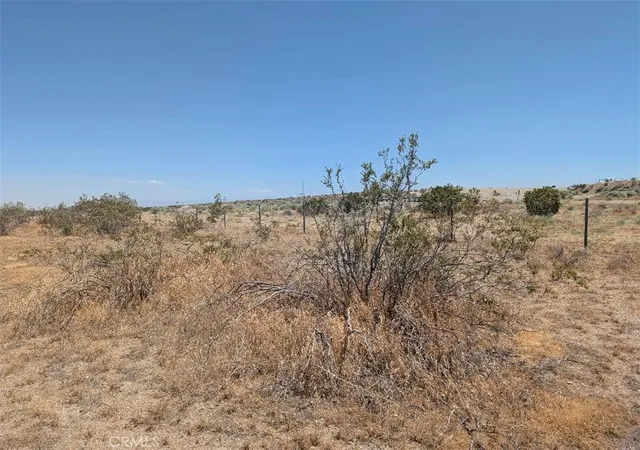 2nd image of 123 Dos Palmas, Pinon Hills, CA 92372 | MLS# IV26112602