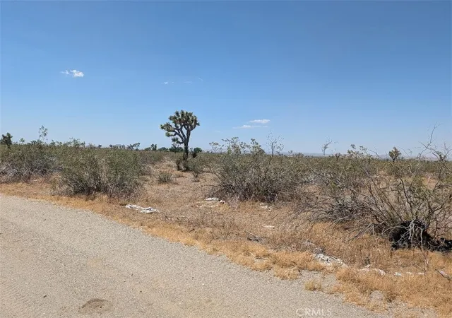 2nd image of 3 Dos Palmas, Pinon Hills, CA 92372 | MLS# IV26112638