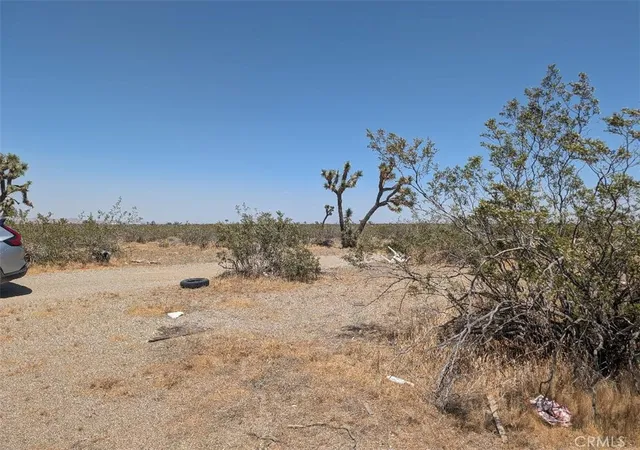 4th image of 3 Dos Palmas, Pinon Hills, CA 92372 | MLS# IV26112638