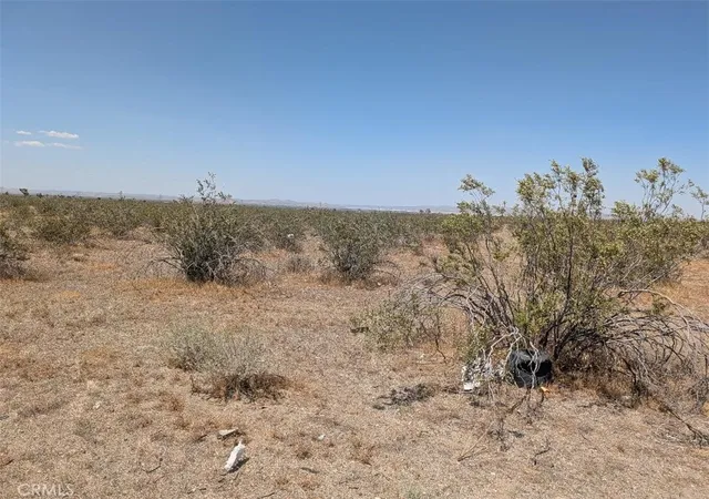 3rd image of 5 Dos Palmas, Pinon Hills, CA 92372 | MLS# IV26112651