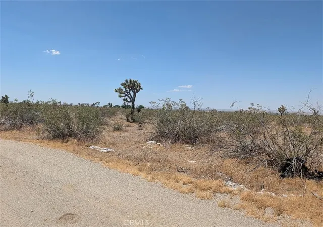 5th image of 5 Dos Palmas, Pinon Hills, CA 92372 | MLS# IV26112651