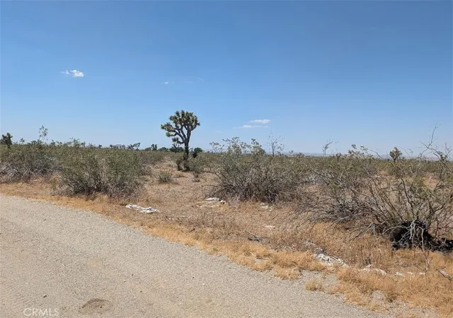 Photo 3 of Land for sale at 6 Dos Palmas, Pinon Hills, CA 92372 | MLS# IV26112660 | Listing updated on 2026-06-24