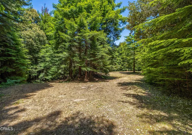 2nd image of 15620 Shane Dr, Fort Bragg, CA 95437 | MLS# C1-11406