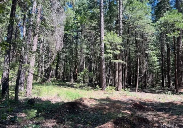 1st image of 0 Eastwood Way, Shingletown, CA 96088 | MLS# LC26112841
