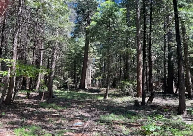 2nd image of 0 Eastwood Way, Shingletown, CA 96088 | MLS# LC26112841