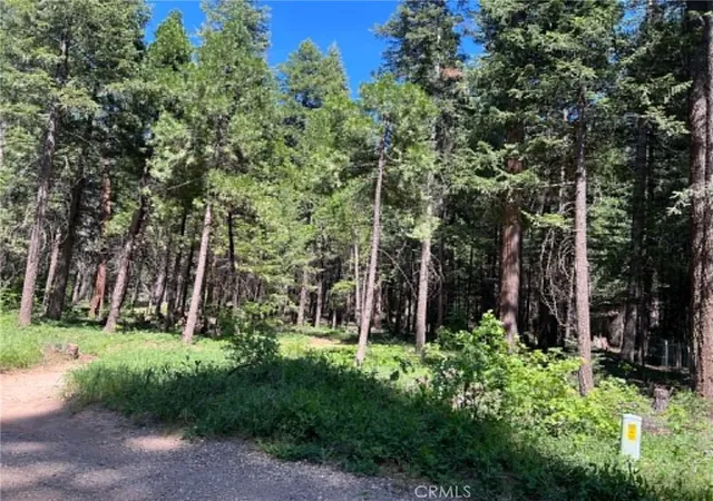 3rd image of 0 Eastwood Way, Shingletown, CA 96088 | MLS# LC26112841