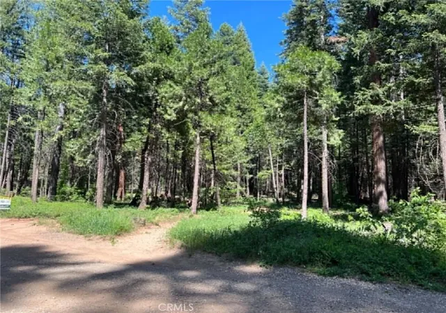 5th image of 0 Eastwood Way, Shingletown, CA 96088 | MLS# LC26112841