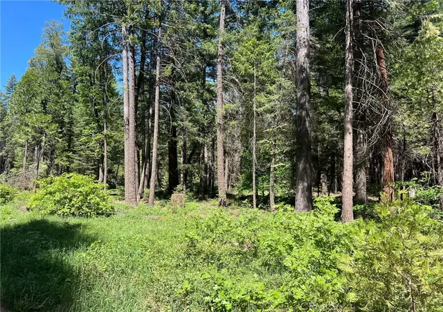 9th image of 0 Eastwood Way, Shingletown, CA 96088 | MLS# LC26112841