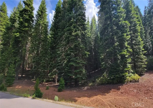 22nd image of 233 Snowy Peak, Lake Almanor, CA 96137 | MLS# SN26112909