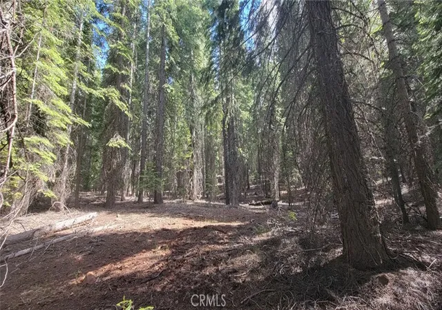 5th image of 233 Snowy Peak, Lake Almanor, CA 96137 | MLS# SN26112909