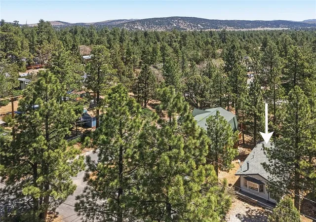 24th image of 513 Cedar Ln, Sugarloaf, CA 92386 | MLS# OC26101673