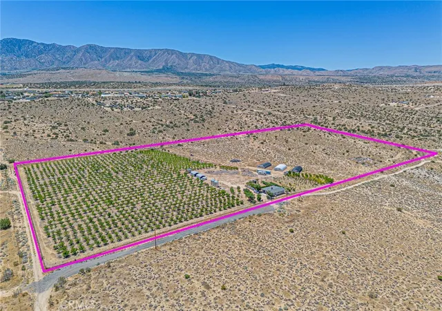 2nd image of 11126 E Avenue W8, Pearblossom, CA 93553 | MLS# SR26113173