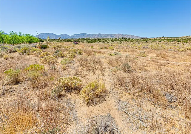 49th image of 11126 E Avenue W8, Pearblossom, CA 93553 | MLS# SR26113173
