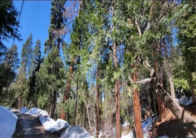 5th image of 731 Jewel Dr, Crestline, CA 92325 | MLS# MB26113308