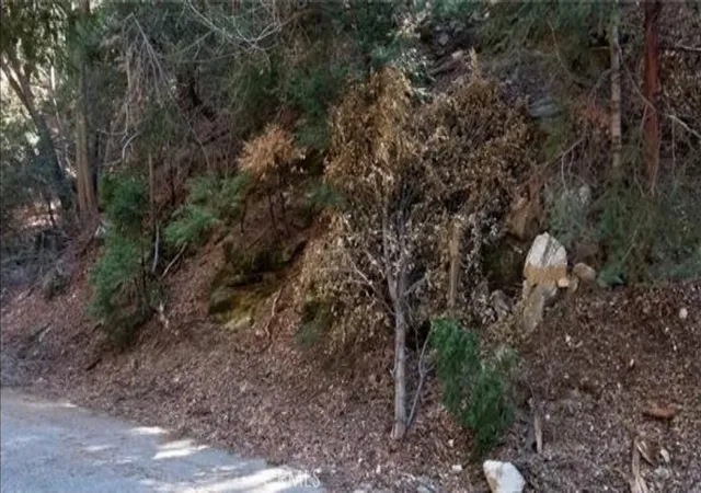 7th image of 731 Jewel Dr, Crestline, CA 92325 | MLS# MB26113308