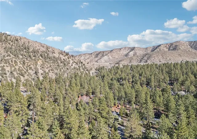 33rd image of 1847 Thrush Rd, Wrightwood, CA 92397 | MLS# BB26108039