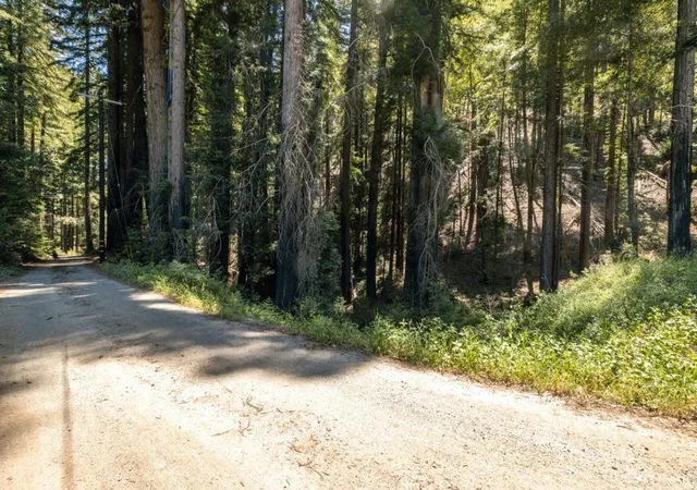 4th image of Branson, Santa Cruz, CA 95062 | MLS# ML82048538
