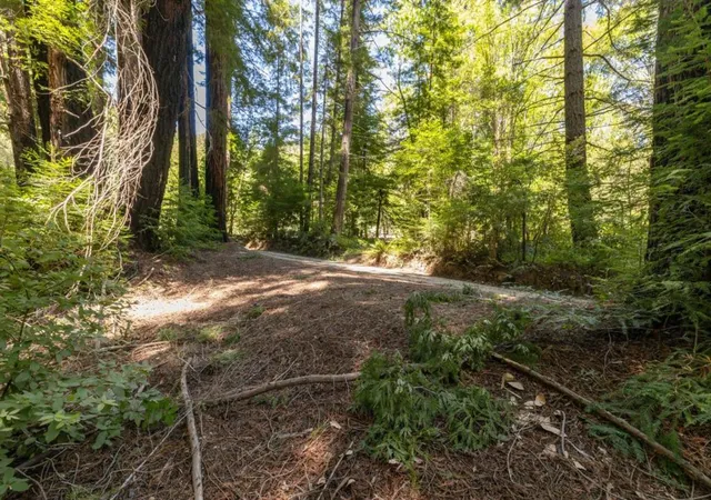 5th image of Branson, Santa Cruz, CA 95062 | MLS# ML82048538