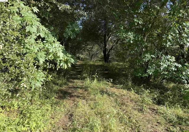 1st image of 4320 Usona Rd, Mariposa, CA 95338 | MLS# 41136002