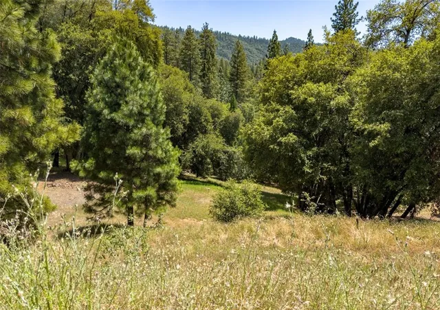 1st image of 2397 Parmabelle, Mariposa, CA 95338 | MLS# FR26114029