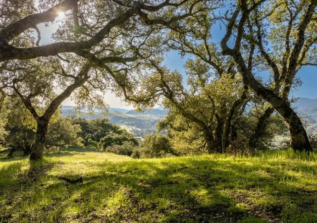 2nd image of 52 Chamisal Pass (lot 136), Carmel, CA 93923 | MLS# ML82048579