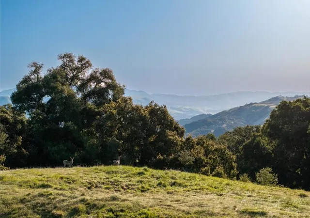 3rd image of 52 Chamisal Pass (Lot 136), Carmel, CA 93923 | MLS# ML82048579