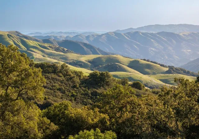 4th image of 52 Chamisal Pass (Lot 136), Carmel, CA 93923 | MLS# ML82048579