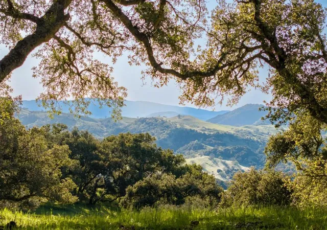 5th image of 52 Chamisal Pass (Lot 136), Carmel, CA 93923 | MLS# ML82048579
