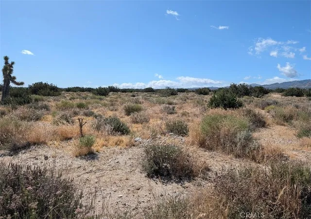 1st image of 33 Antelope, Llano, CA 93544 | MLS# IV26114173