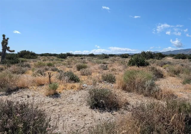 4th image of 33 Antelope, Llano, CA 93544 | MLS# IV26114173