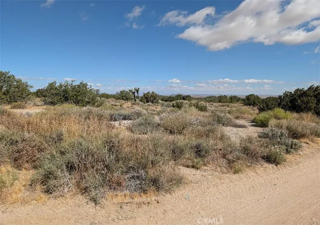 6th image of 33 Antelope, Llano, CA 93544 | MLS# IV26114173