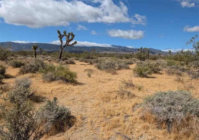 1st image of 27 248th, Llano, CA 93544 | MLS# IV26114259