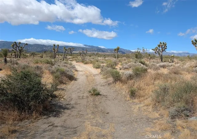 4th image of 27 248Th, Llano, CA 93544 | MLS# IV26114259