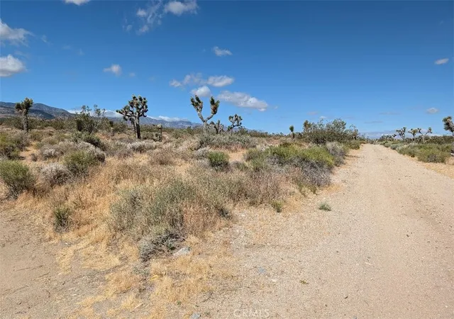 8th image of 27 248th, Llano, CA 93544 | MLS# IV26114259