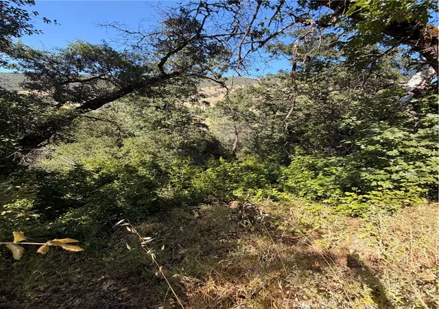 1st image of 3403 Knob, Nice, CA 95464 | MLS# LC26114405