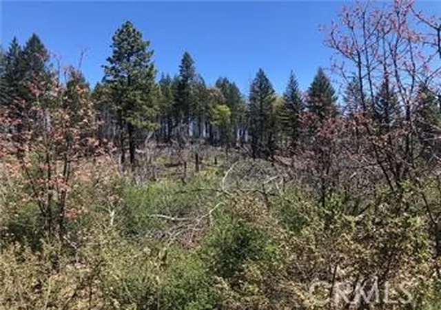 Photo 3 of Land for sale at 6847 High Valley, Lucerne, CA 95458 | MLS# LC26114679 | Listing updated on 2026-05-27
