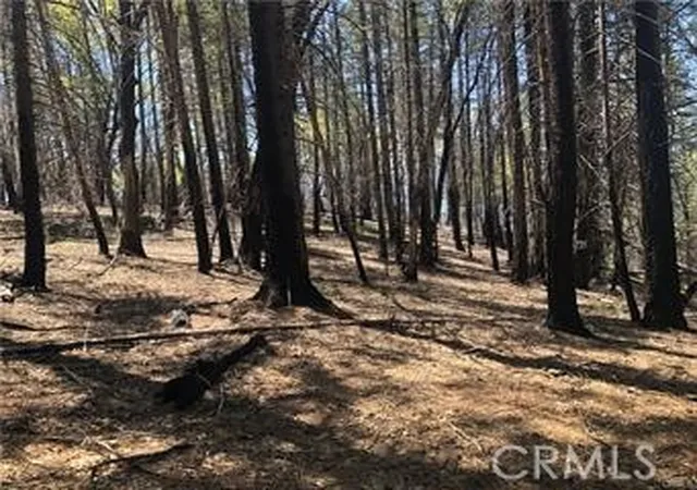 Photo 3 of Land for sale at 6847 High Valley, Lucerne, CA 95458 | MLS# LC26114679 | Listing updated on 2026-05-27