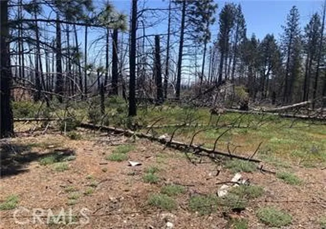 Photo 3 of Land for sale at 7097 High Valley, Lucerne, CA 95458 | MLS# LC26114662 | Listing updated on 2026-05-27