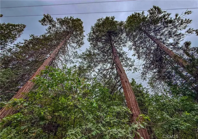 3rd image of 7083 Hites Cove, Mariposa, CA 95338 | MLS# FR26115388