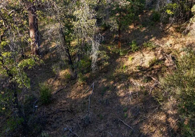 7th image of 1230 Minton Ave, Big Bear, CA 92314 | MLS# 219148442DA